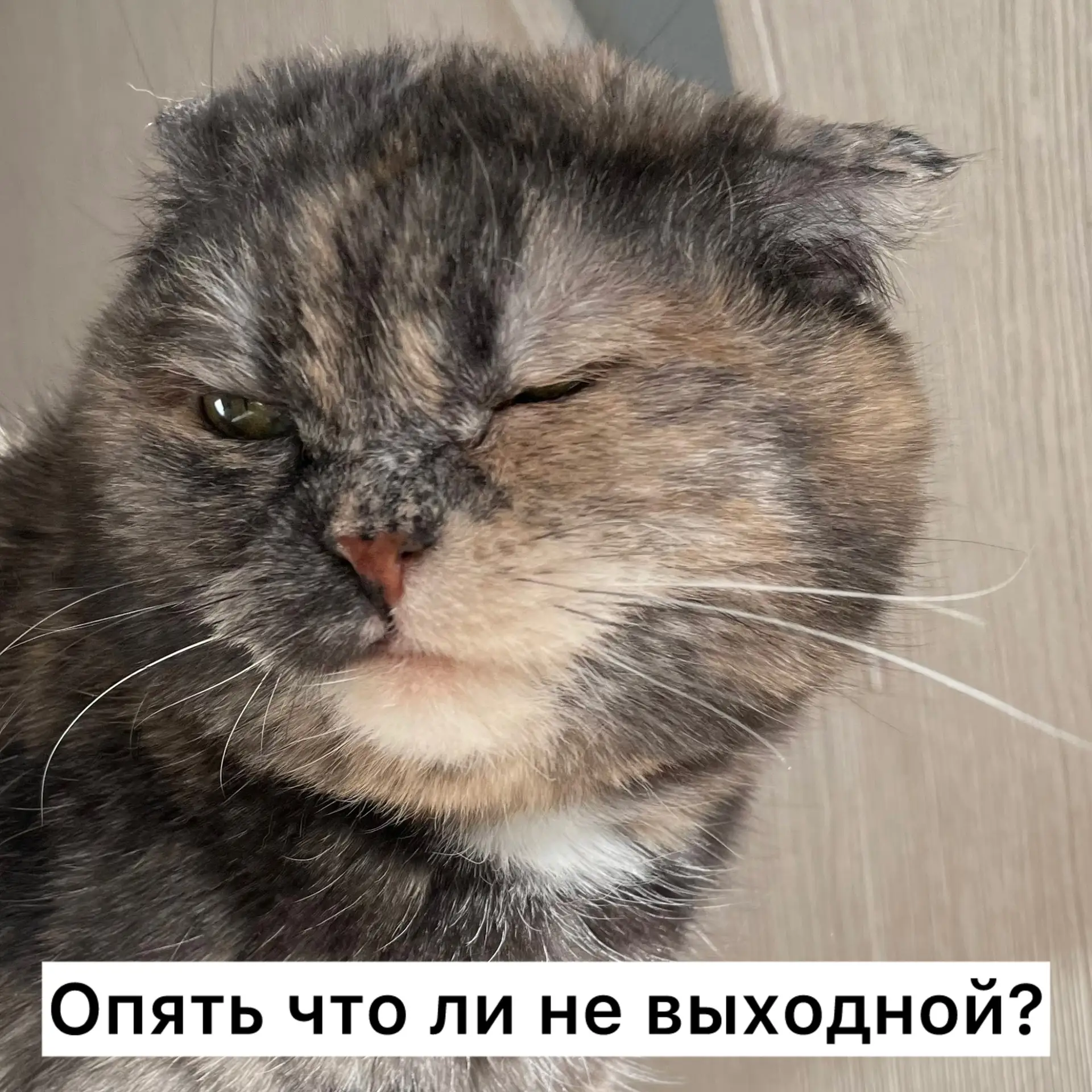 Ну как-так-то? Вчера был понедельник, сегодня второй понедельник…