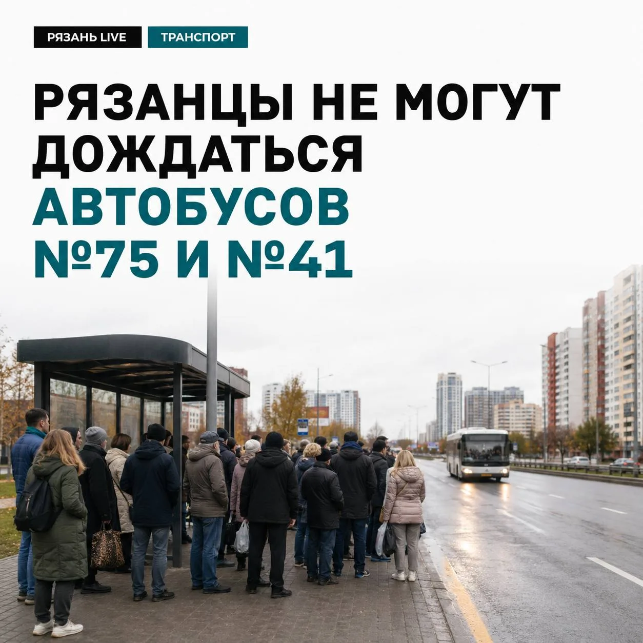 🚌 Рязанцы пожаловались на исчезновение автобусов №75 и №41.

Пассажиры сообщили о проблемах с движе