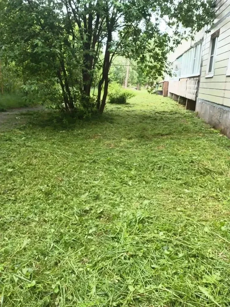 Покос травы по адресам: 
🏡ул. Горняков, д. 15
🏡ул. Горняков, д. 16
🏡ул. Горняков, д. 17
🏡ул. Гор
