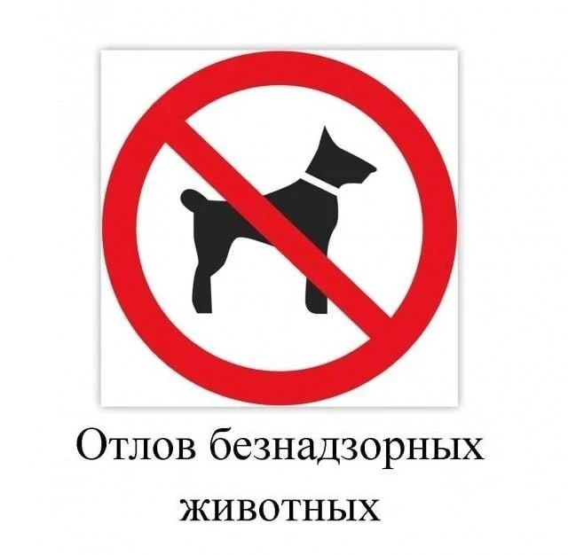 ⚡️ 8 октября будет производиться отлов безнадзорных животных