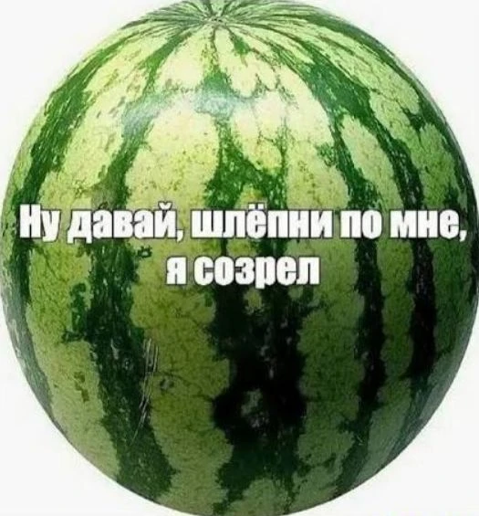 Россияне начали выбирать арбузы с помощью ИИ