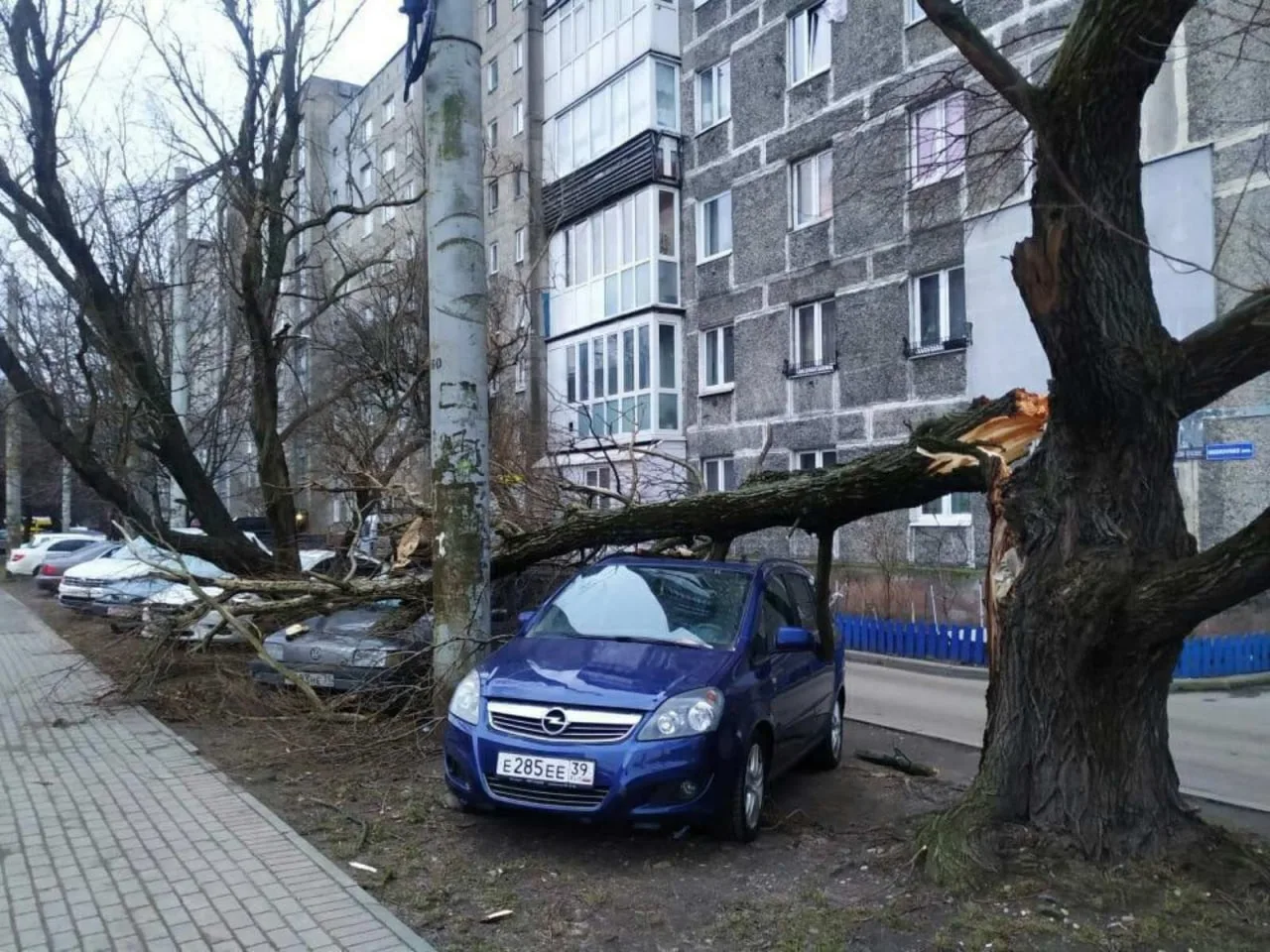 Внимание!!!!!!! Не парковать автомобили под деревьями, линиями электропередачи и около ...