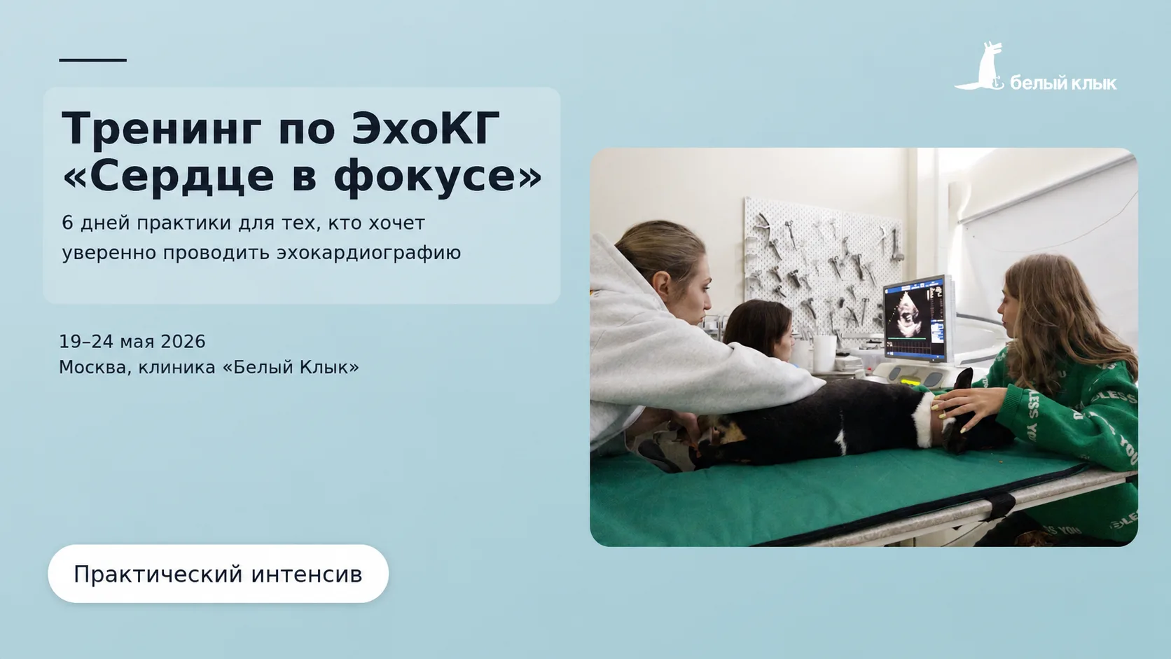 10 мая – последний день низкой цены на курс «Сердце в фокусе» ⚡️