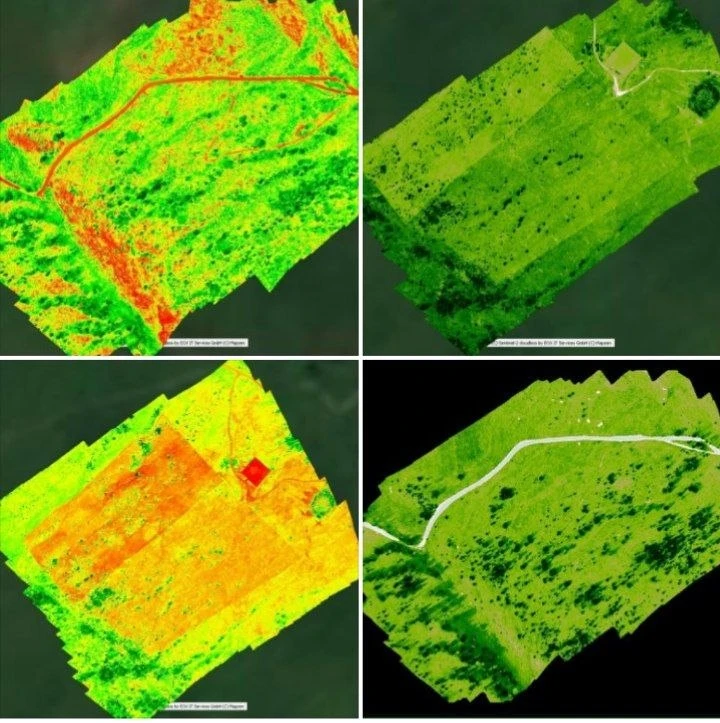 Опубликованы NDVI-карты с исследовательского участка карбонового полигона "WayCarbon"