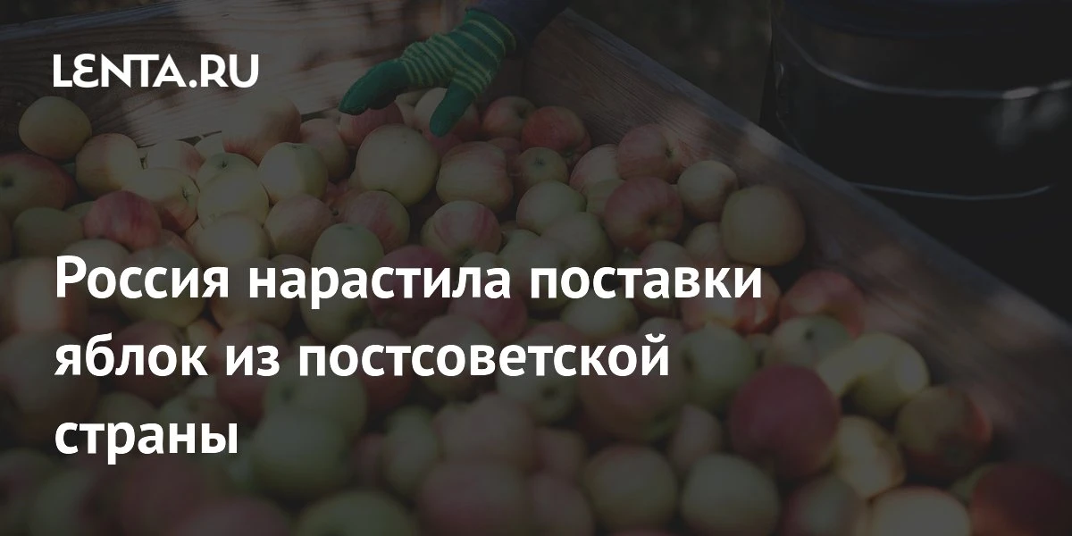📌 Россия усилила импорт яблок — мировой фруктовый бум в Москве!

В мае 2026 г. импорт яблок из пост