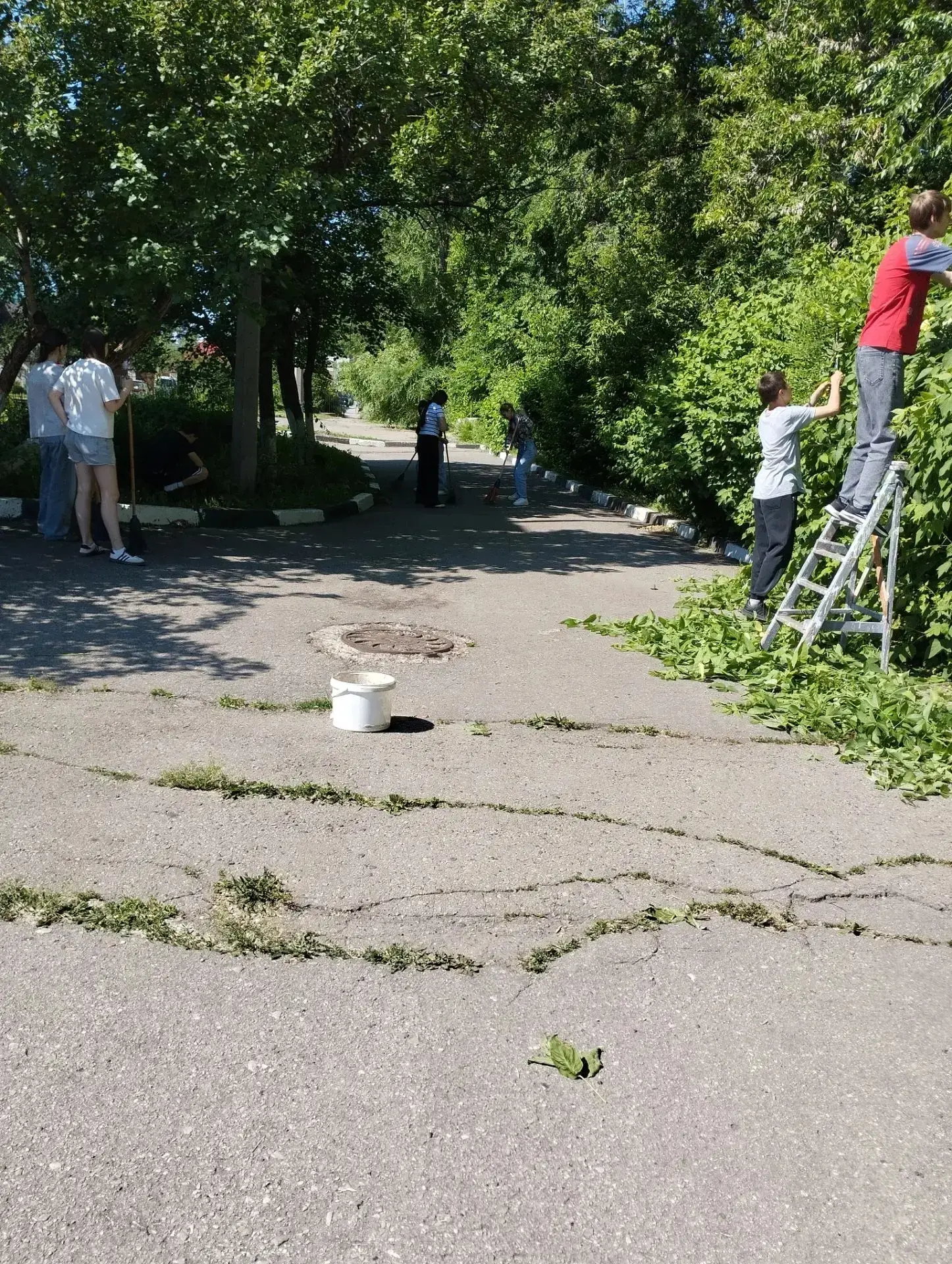 🌈 Вот и прошёл последний день работы лагеря труда и отдыха! 🔸

Каждый смог проявить и показать сво