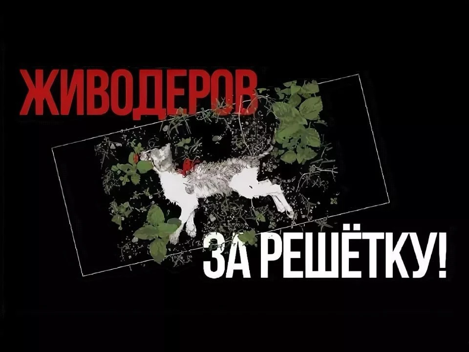 Готовим законодательную инициативу, перекрыть садистам кислород и давать реальные сроки...