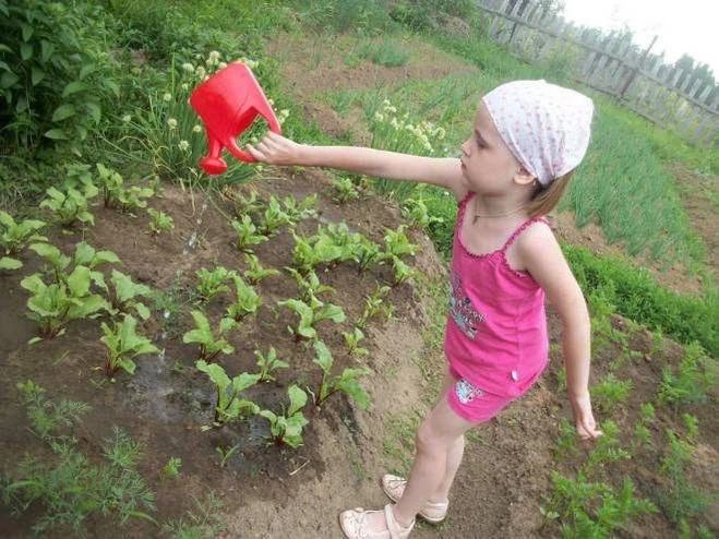 "Модного слова "нейрокоррекция" мои родители не знали. Даже бабушка не знала, хоть и директор школы.