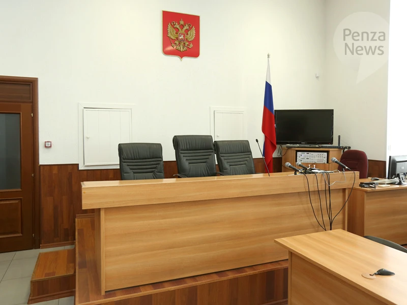 Жительница Кузнецка получила 7 месяцев лишения свободы за неуплату алиментов