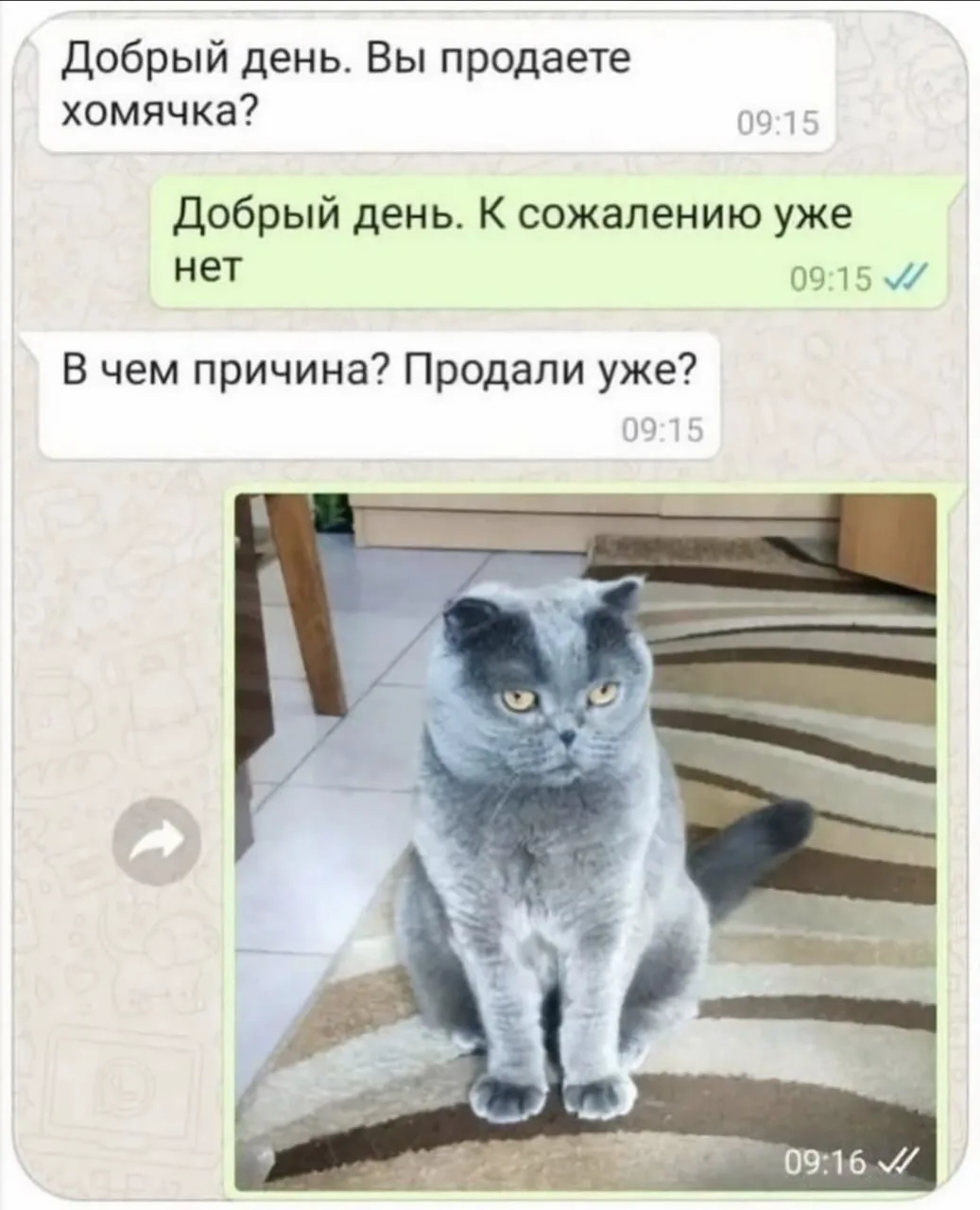 Самый короткий и грустный рассказ Эрнеста Хемингуэя 😁
