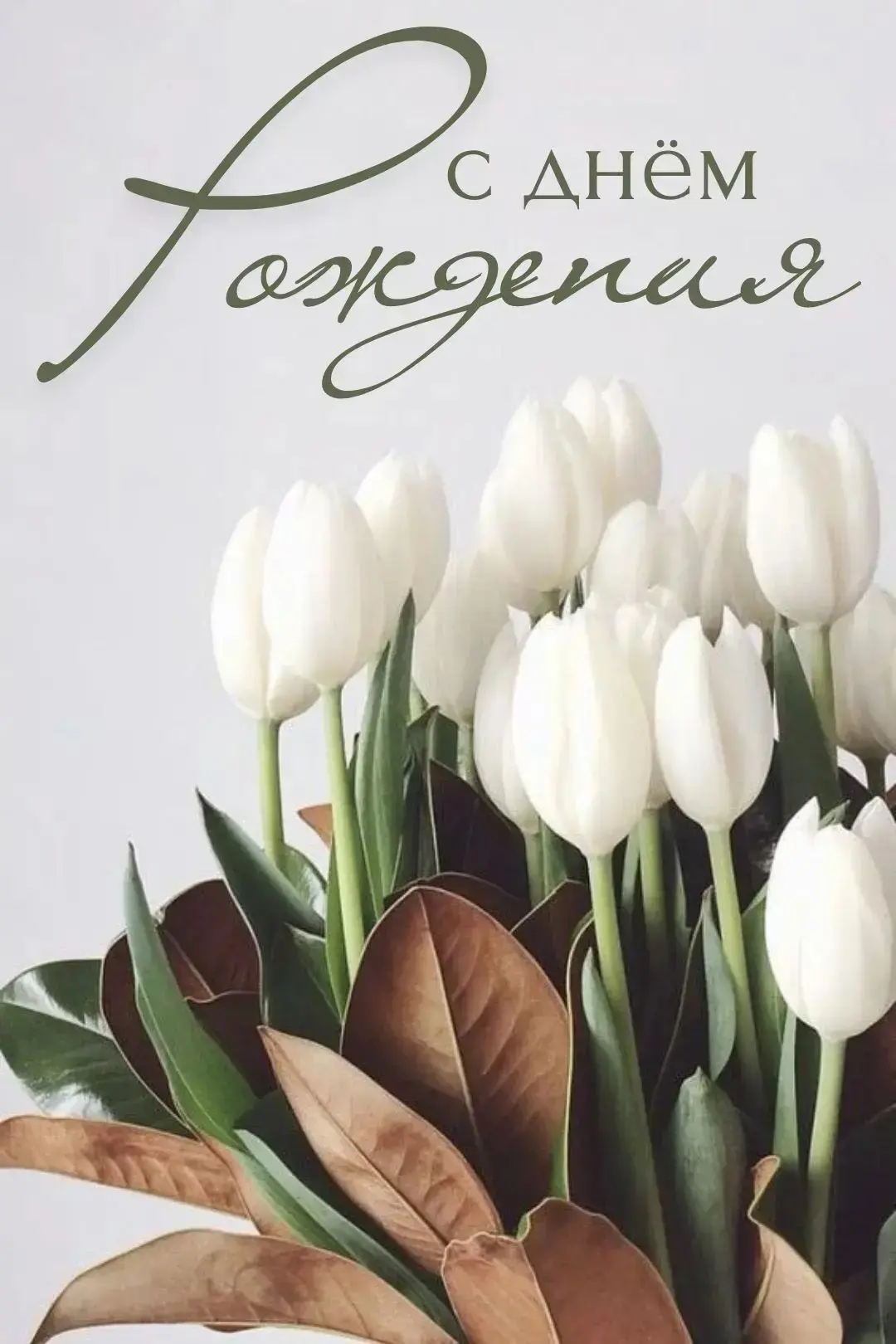 🎉 С днём рождения, дорогая Алла Александровна! 🎂

Вы — настоящая волшебница на кухне детского сада