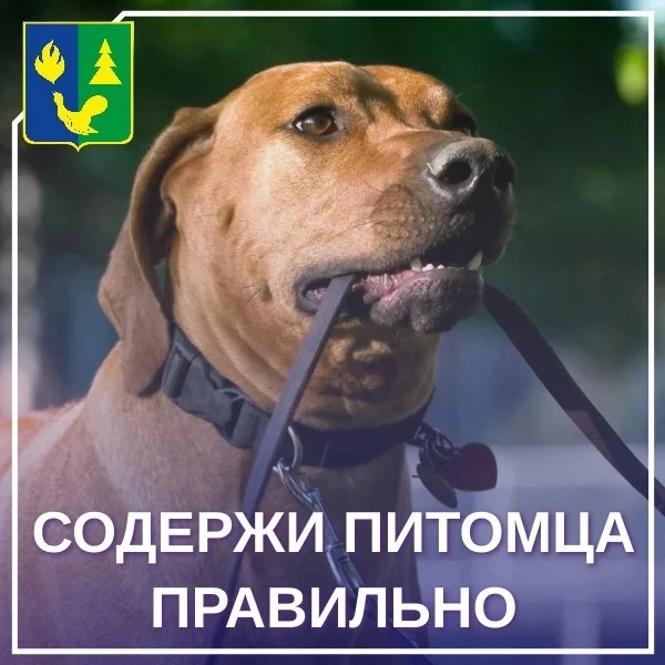 📍Уважаемые жители Советского района!  Окружной Думой внесены изменения в региональное законодательст