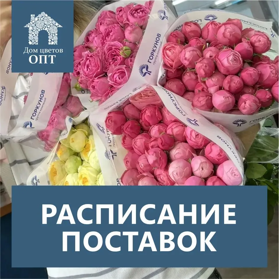 Дом цветов опт в наличии: