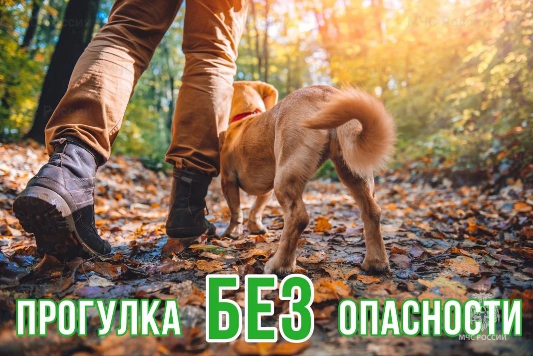 Безопасность детей во дворе: простые правила, которые спасут жизнь! 🚸