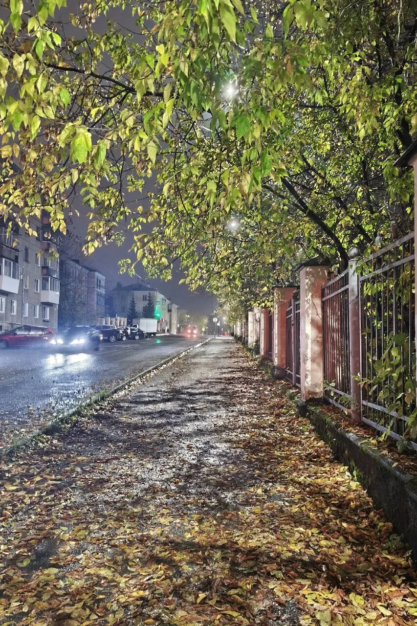 Фото: Ольга Великая ❤