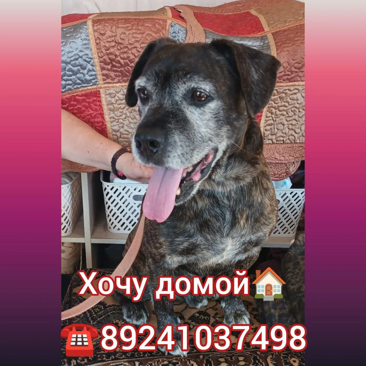 Хочу домой 🏠