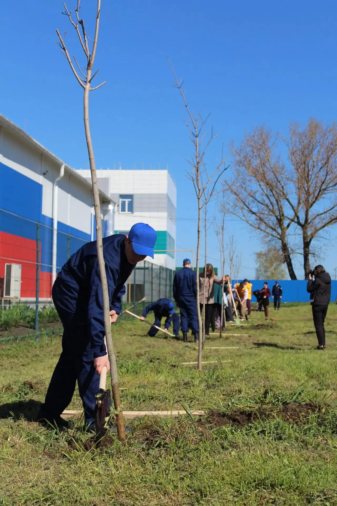 В Щербиновском районе продолжают высаживать деревья в рамках Международной патриотической и экологич