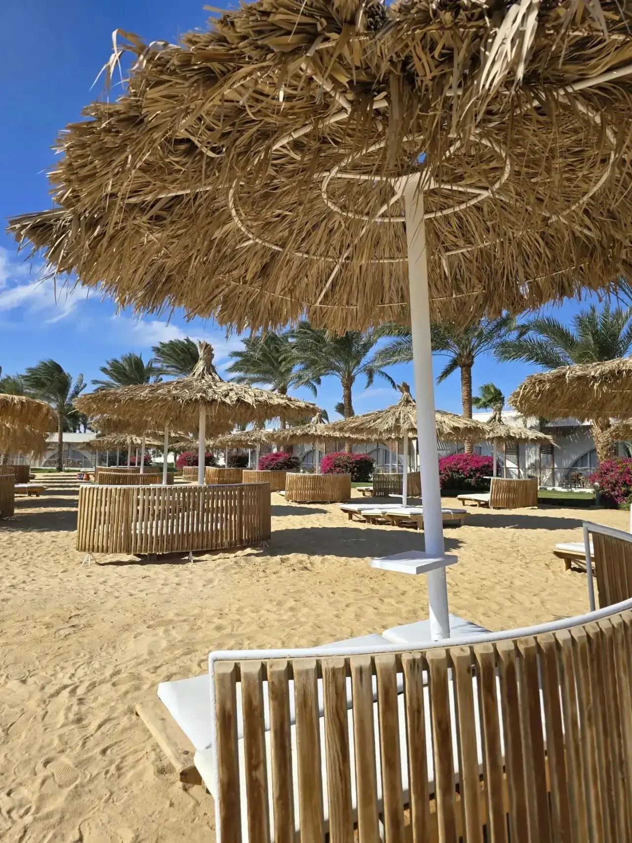 Рассказываю, какой отель вернул семье веру в Египет 🌴

Desert Rose 5* — настоящий оазис с огромной 