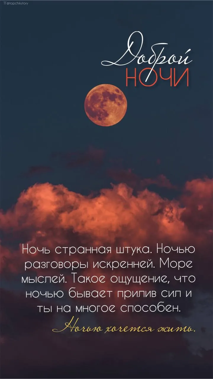 Контент вам на вечер с пожеланием доброй ночи 🌖

Буду благодарна реакциям 👇