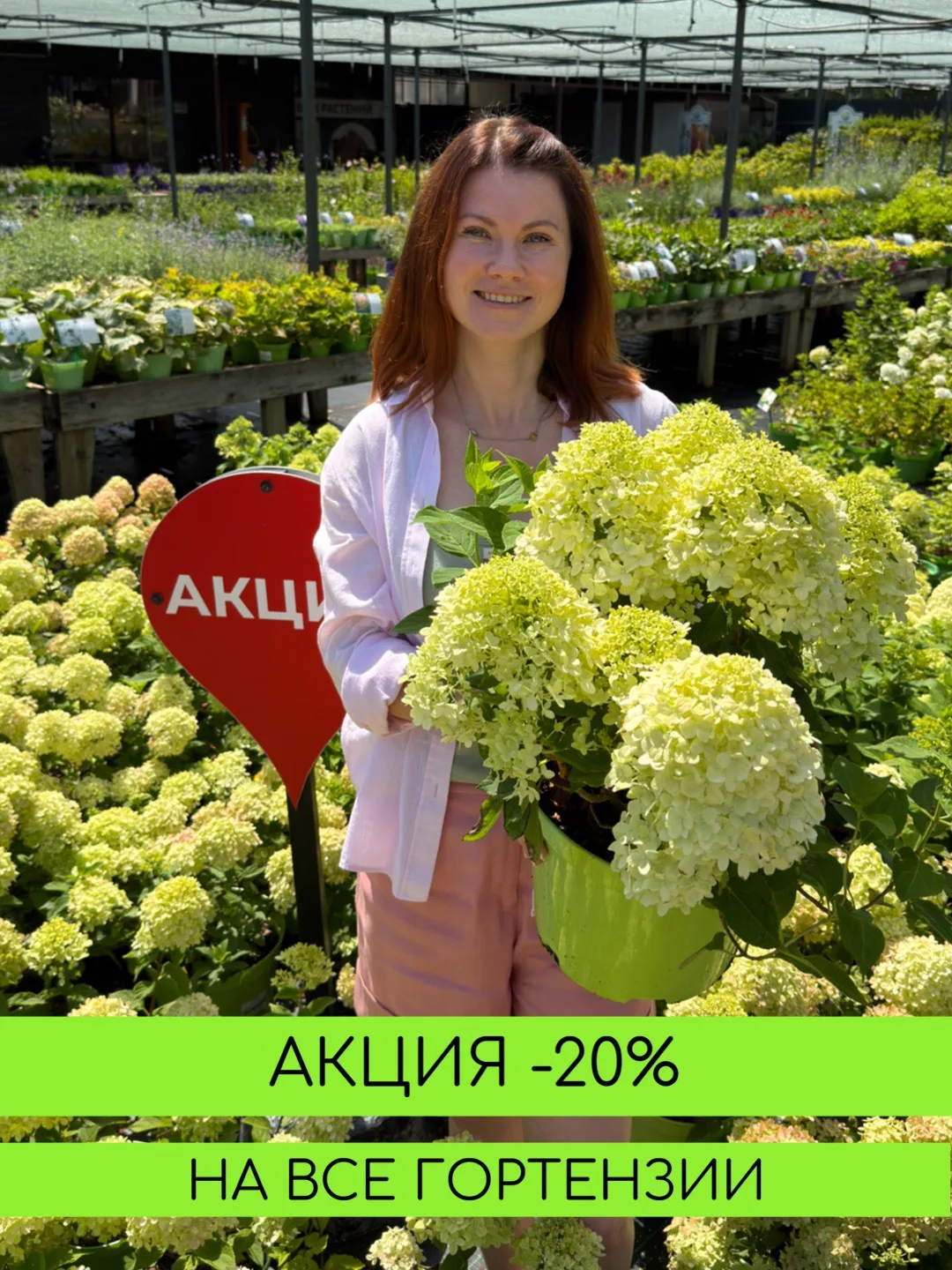 Скидка 20% на все гортензии!!

Вы просили повторить- мы повторяем!!   

❗️Всю неделю с 20 июля по 26