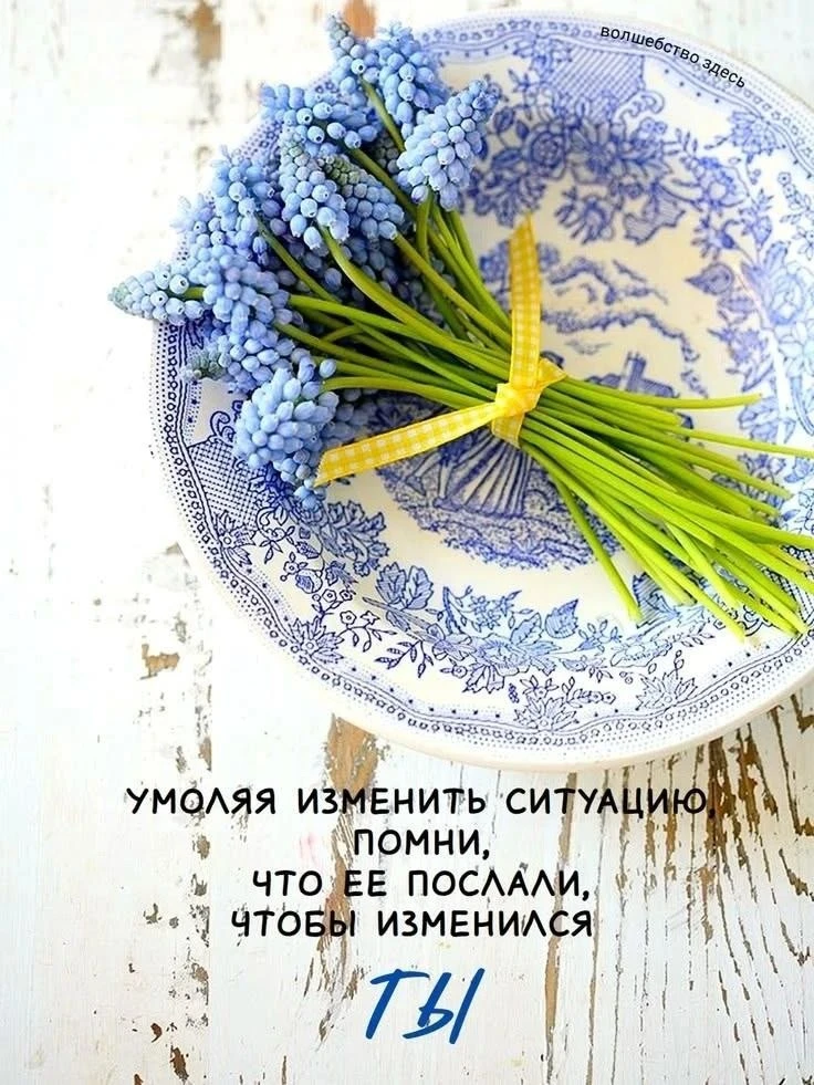 🥰 Оставляйте реакции, если понравилась открытка и делитесь с близкими ❤️

Лучшие Открытки в MAX