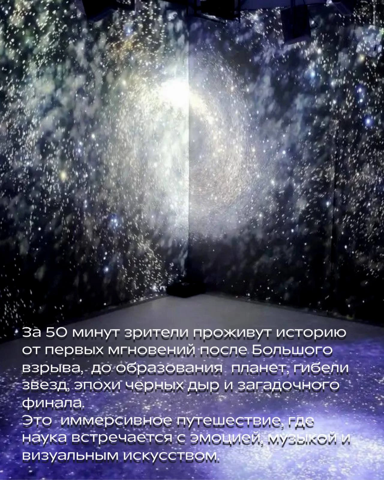 Один билет в галерею «Светло» — это не один вечер, а месяц лекций и два шоу сразу.