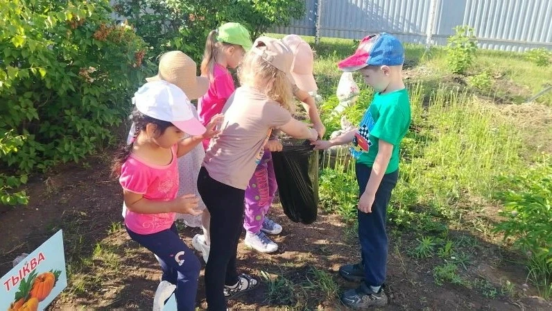 Группа 6-7 лет "Любознайки", воспитатель Пронина ОА.