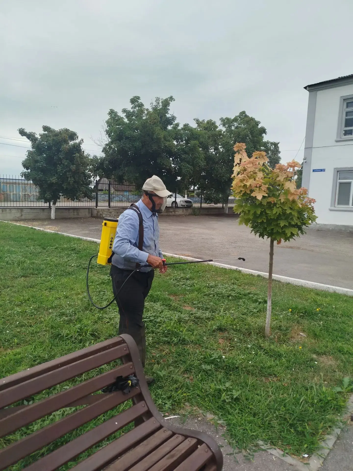 Дышим глубже и видим дальше! 🌳✨