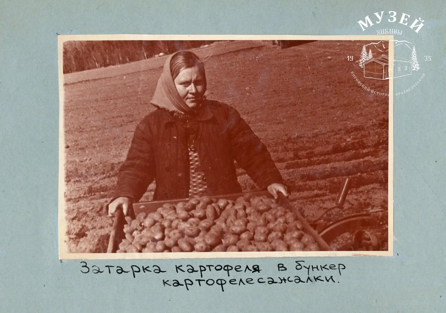 Фотография из Фотоальбом с/х «Индустрия», 1960-1970-е годы. Больше фото из этой серии вы сможете уви