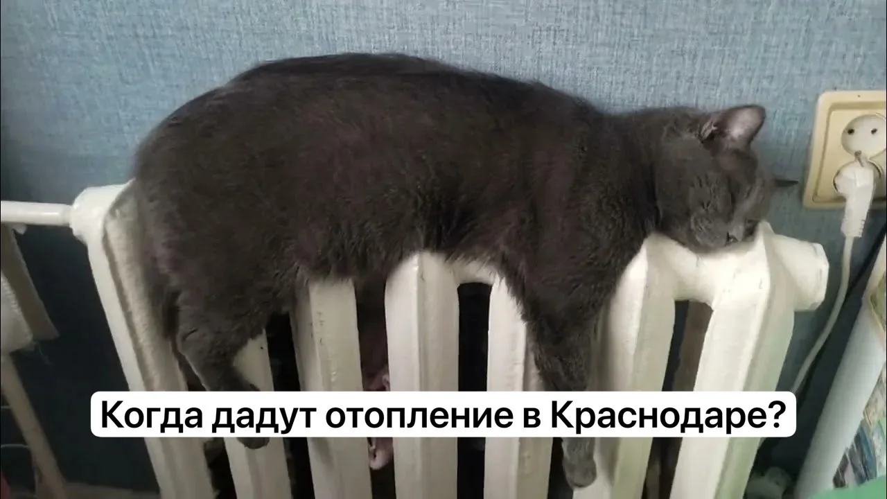 Ориентир — 15 октября. Окончательное решение зависит от погоды: по нормативам сезон ста...