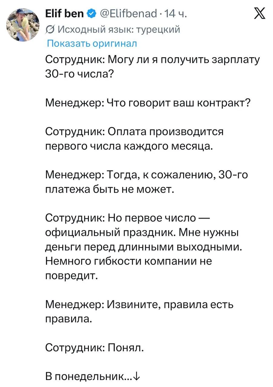 Работяга из Турции осуществил мечту каждого недовольного работника 😘
