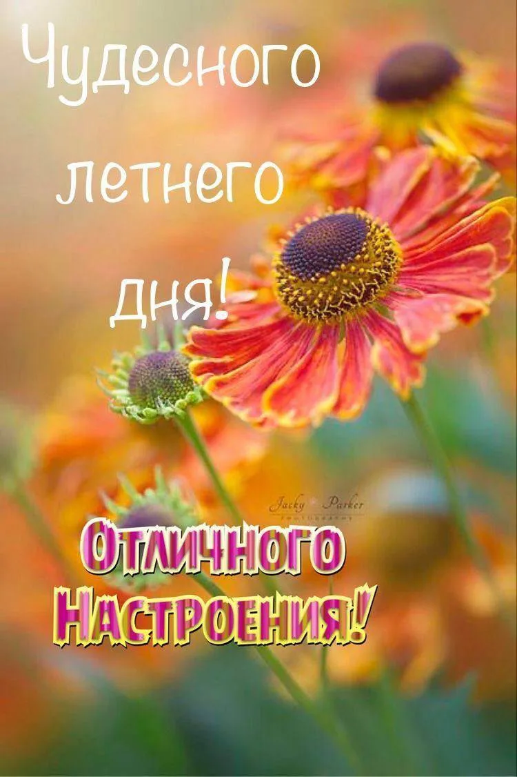 Открытки любимым