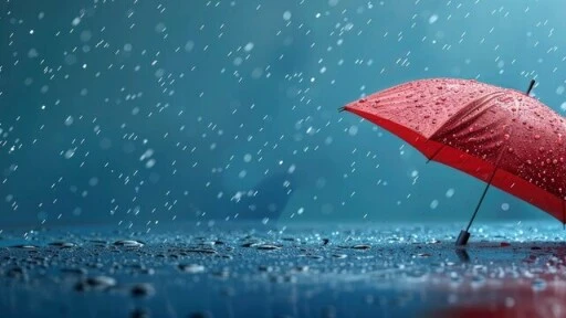 Лови момент, даже если он дождливый! 🌧️✨

Сегодня, 18 июля, необычный праздник — День прогулок под 