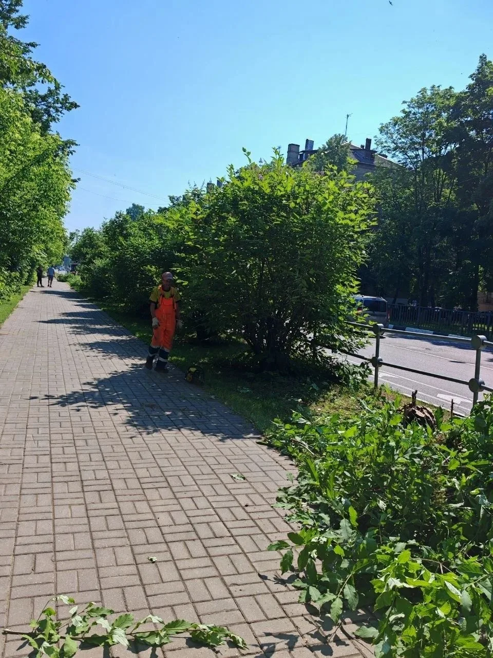 «Очередное уничтожение зелени в Железнодорожном. Были кусты сирени в основном.
Улица Новая, у первой