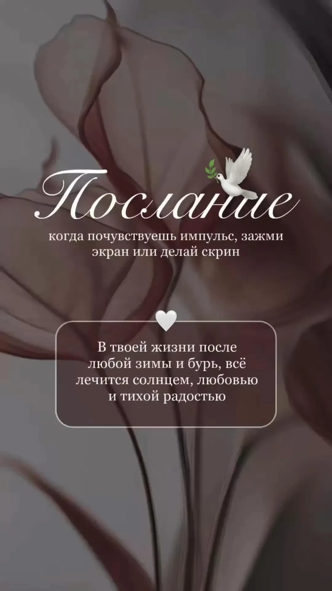 Послание от Вселенной для Вас ✨