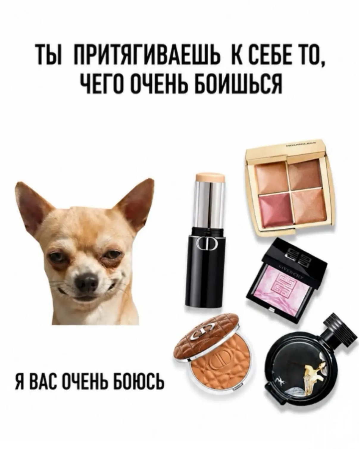 А ещё я боюсь ту шикарную сумку, которую увидела в магазине 😁