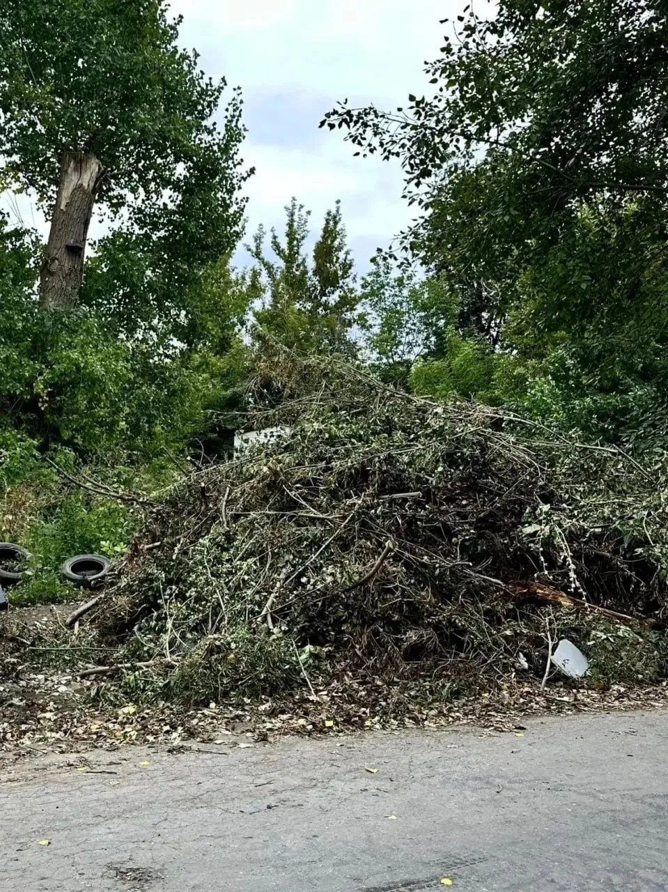 🗑 В Липецке начнут убирать свалки у контейнерных площадок