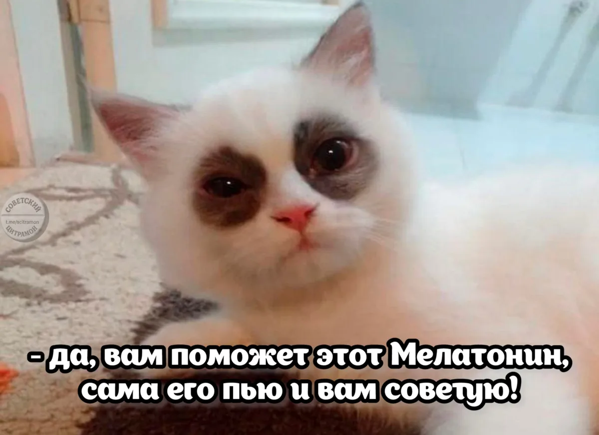 Цитрамон. Подписаться