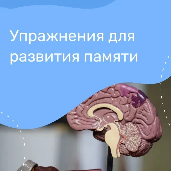 К неделе сохранения здоровья головного мозга Минздрав края подготовил карточки с упражн...