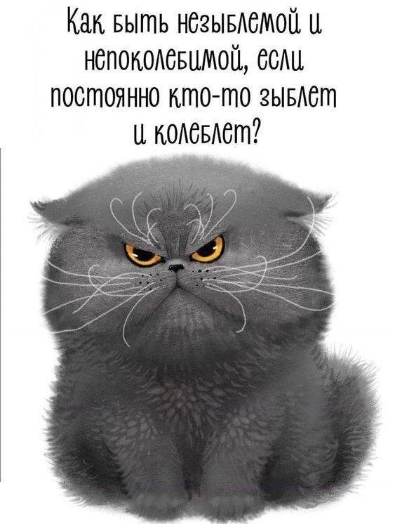 #Юмор 😆