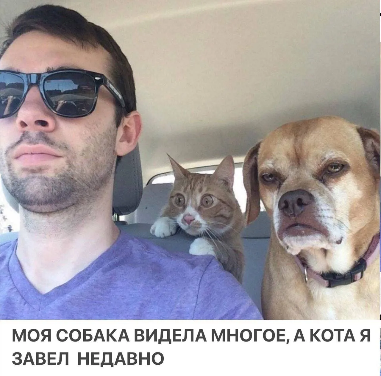 Любая поездка на дачу: