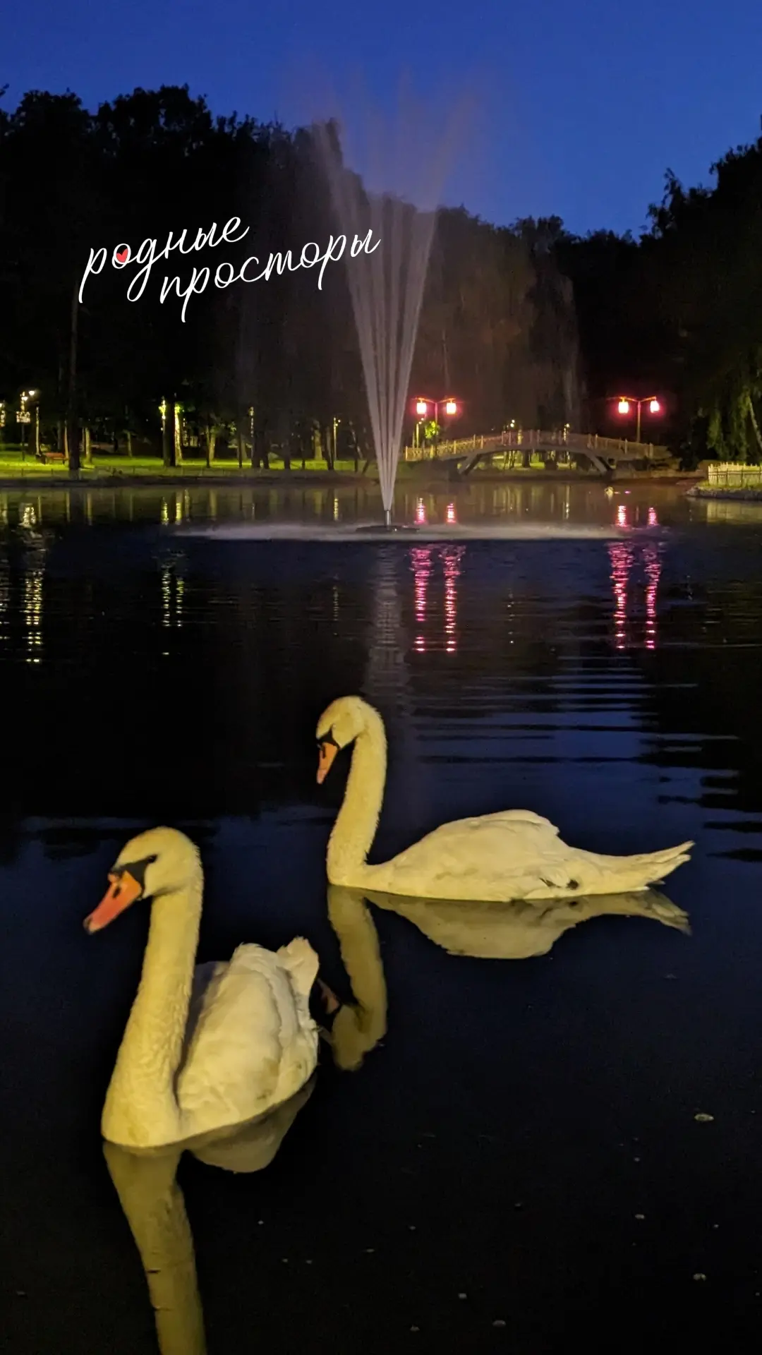 🦢 Вчера в Историях показала фото с нашей вечерней прогулки и некоторые стали спрашивать, где такая 