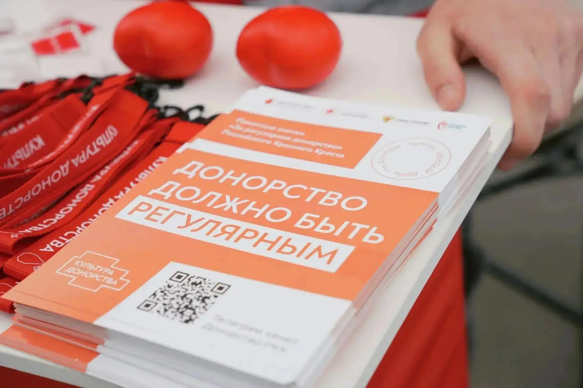 🩸Российский Красный Крест обновил мотивационную программу для доноров 

В 2026 году мы обновили мот