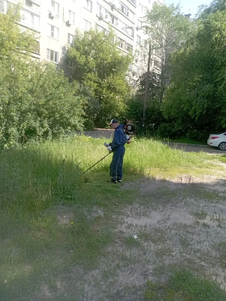 🌿 Летом активно заботимся о благоустройстве придомовых территорий: своевременно проводим покос трав