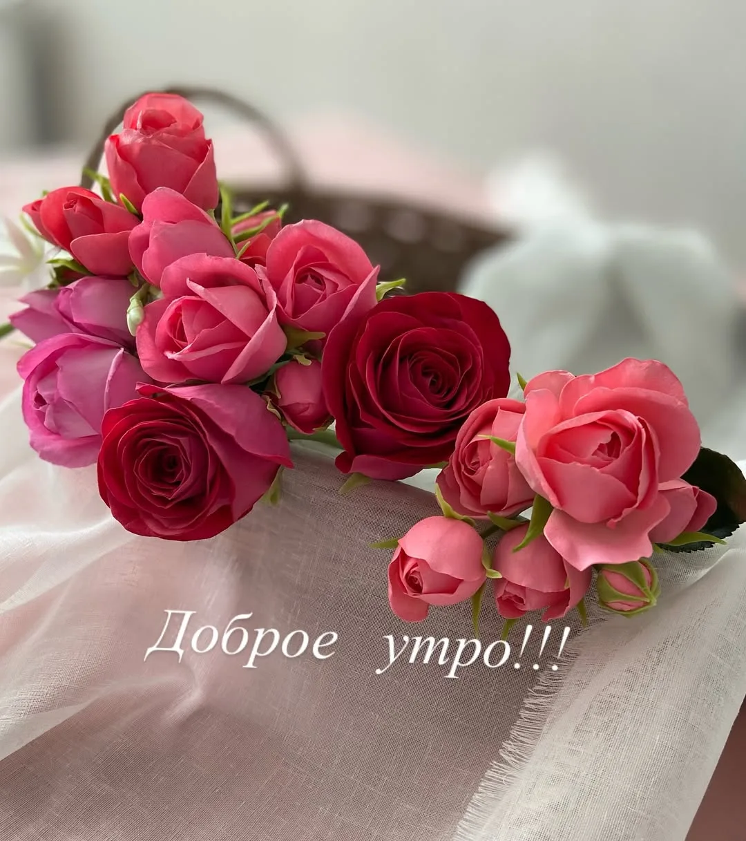 Доброго утра всем!