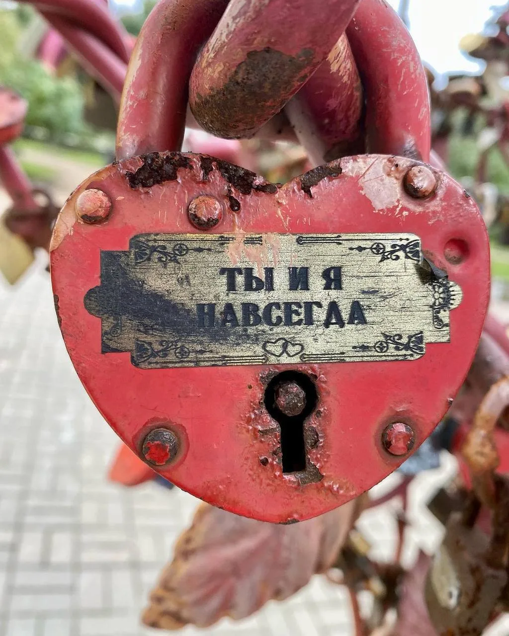 Изображение 3 к публикации «Мой Питер»