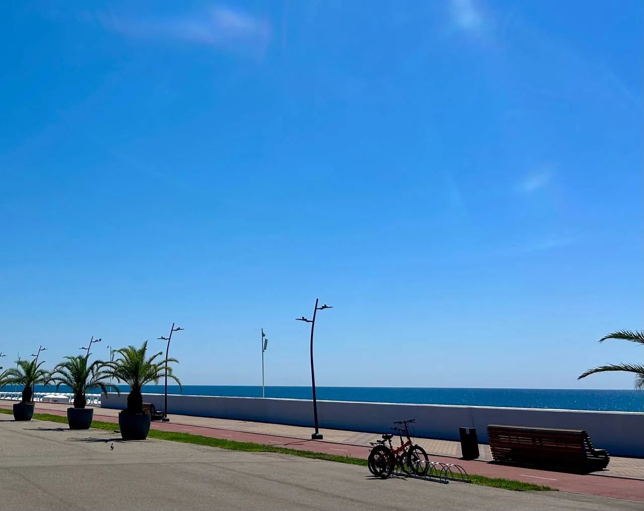 ☀️ Доброе утро, Сириус!