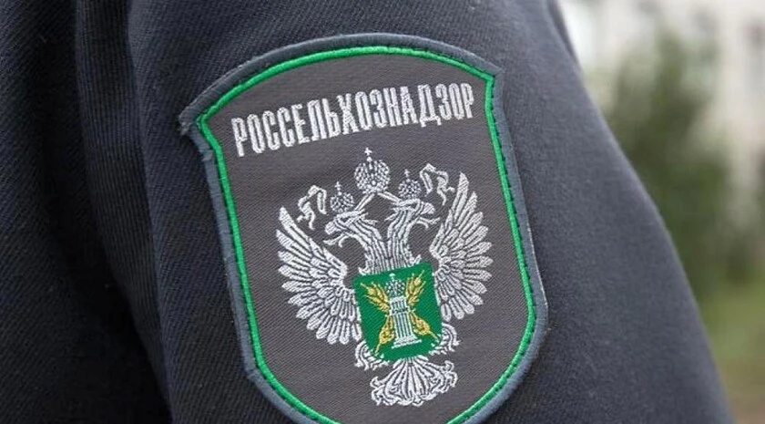 В Запорожской области выявили 127 непогашенных карантинных сертификатов