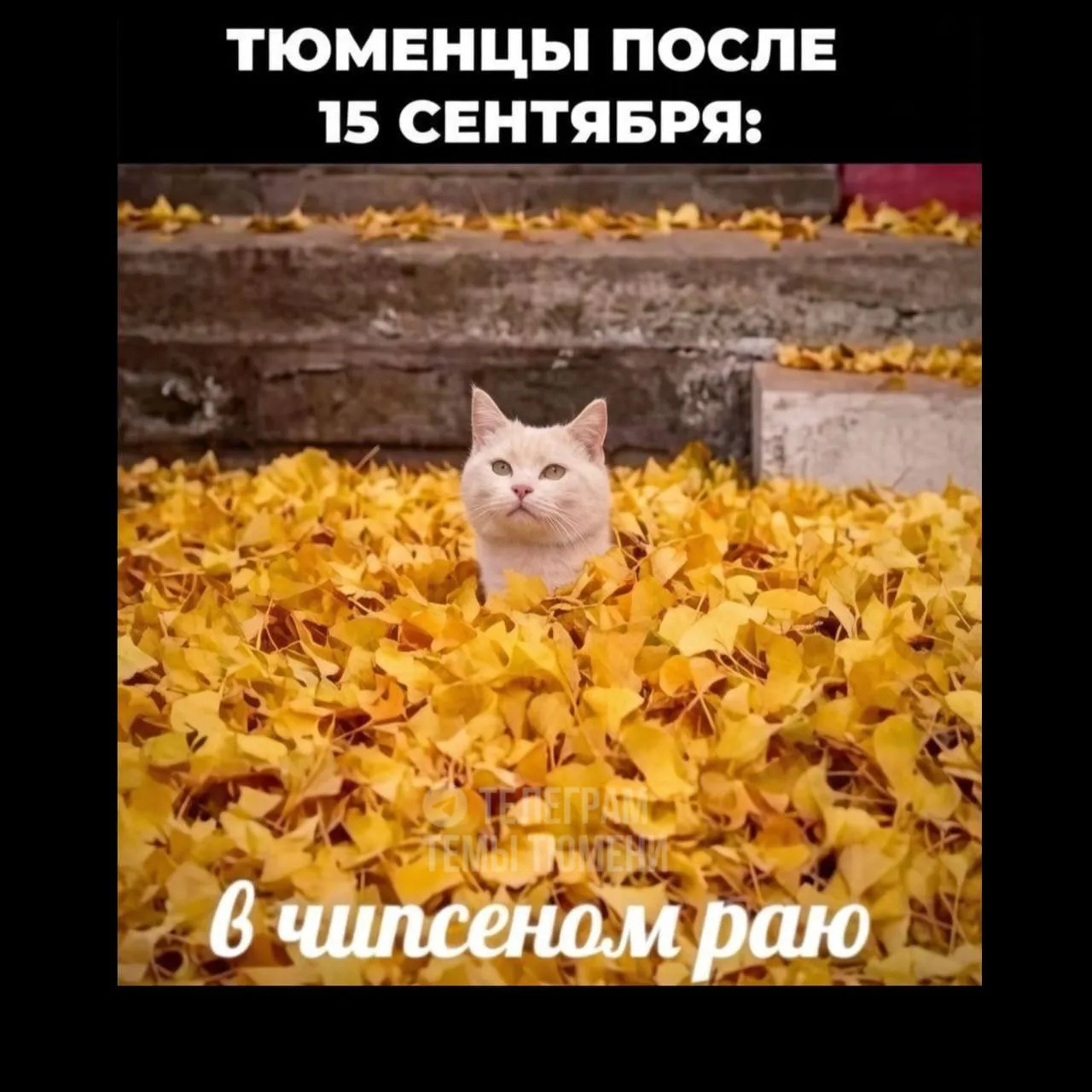 С сегодняшнего дня в Тюмени начинается Бабье лето.