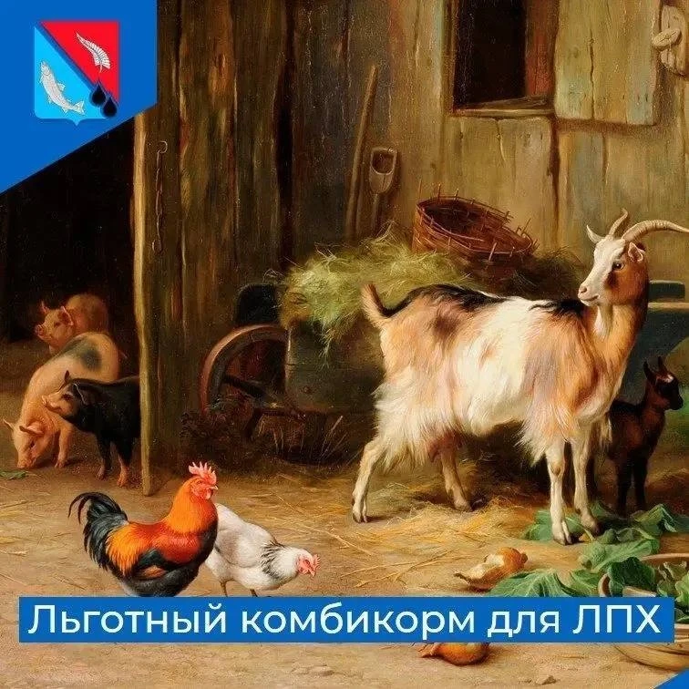 Администрация муниципального образования Ногликский муниципальный округ Сахалинской области доводит 